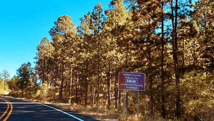 Beautiful Autumn Leaf Color on Trees Lined Street Road a pass to Kaibab National Forest USA  and...
