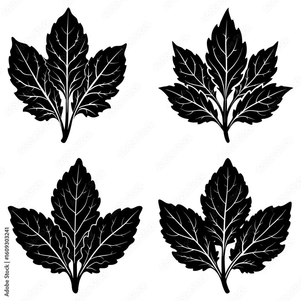 Poster four black leaf clusters with detailed veins arranged on a white background in a symmetrical pattern