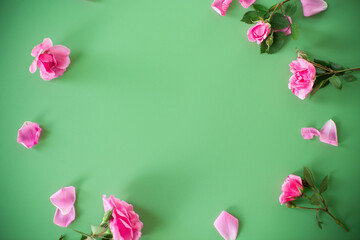 Branches of pink roses on a green background from above