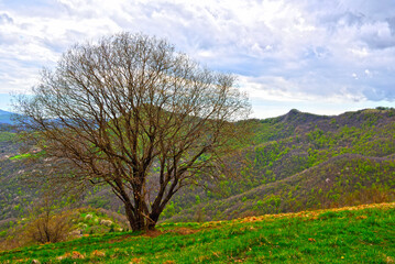 Pian di Cavalla ring trail, Antola Natural Park, Genoa, Liguria, Italy