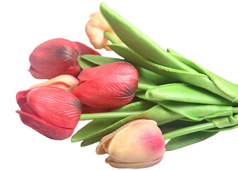 colorful easter spring flower botanical background red and pink tulips. copy space.
