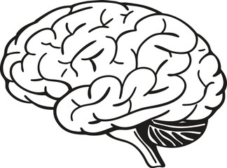 Human brain vector illustration depicting the anatomy of a healthy mind, symbolizing intelligence and medical science