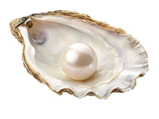 Naklejka premium Luminous Pearl within an Oyster Shell on transparent background