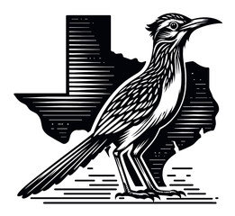 Texas Roadrunner Vector Illustration – Vintage Style Bird Silhouette with State of Texas Outline

