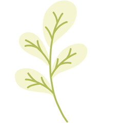 Naklejka premium green leaf 