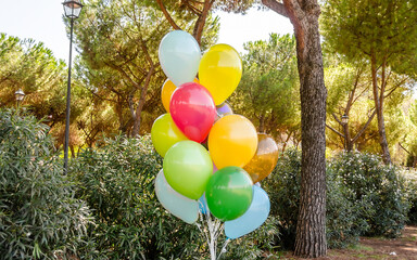 Colorful bunch of helium balloons