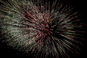 Obraz premium fireworks in the sky