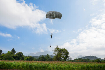 Skydiver in Action,  A skydiver gliding through the blue sky with a fully deployed parachute,...
