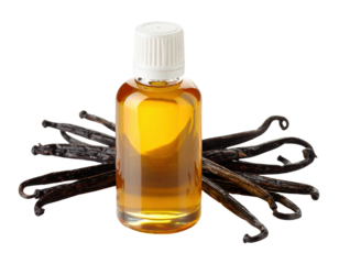 Vanilla beans and extract bottle on white background png
