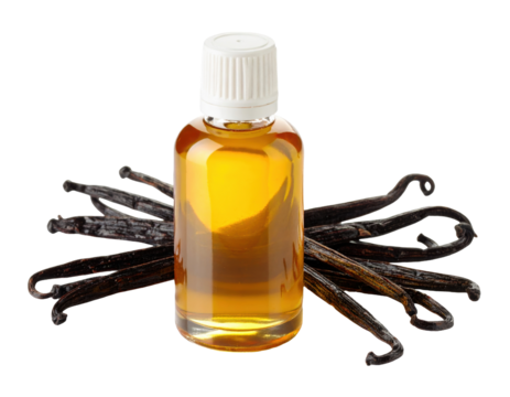 Vanilla beans and extract bottle on white background png