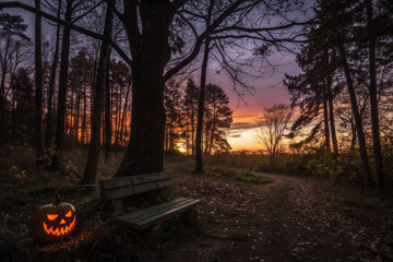  a spooky forest-sunset with haunted evil 