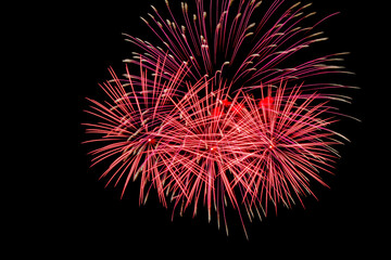 fireworks in the night sky