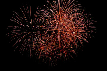 fireworks in the night sky