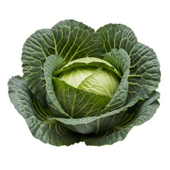 Obraz premium Fresh Green Cabbage Vegetable Healthy Food Ingredient Nature Agricultural Produce png isolated on transparent background