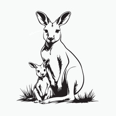 kangaroo with baby