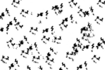 Grunge spray texture with abstract splatter and high-contrast black ink effect on transparent background.  for overlays, punk artwork, digital noise, or distressed surface design projects.

