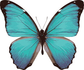 Detailed Vector Illustration of a Vibrant Blue Morpho Butterfly with Intricate Wing Patterns and Delicate Antennae, Symbolizing Transformation and Natural Beauty