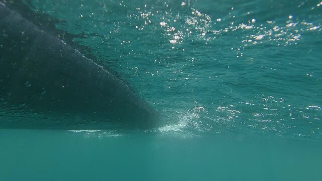 Underwater view of a stand up paddleboard and paddle in motion, creating bubbles and ripples. Dynamic scene capturing water activity from below the surface