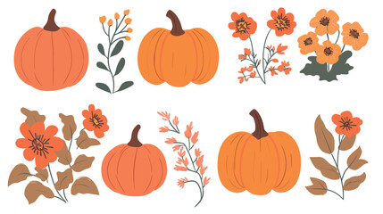 Vector Pumpkins and Flowers Set &ndash; Autumn Harvest Floral Elements Vector Graphic