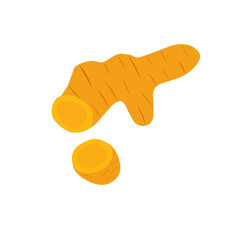 Hand drawn illustration of turmeric. Herbal plant illustration. Flat design turmeric illustration. Herbal turmeric
