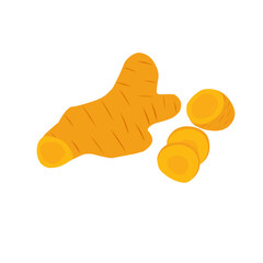 Hand drawn illustration of turmeric. Herbal plant illustration. Flat design turmeric illustration. Herbal turmeric
