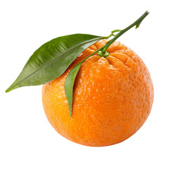 Vibrant Orange: Juicy Citrus Fruit with Lush Green Leaves - Perfect for Food Blogs & Recipes