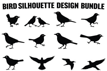 Fototapeta premium Soaring Bird Silhouette Collection for Print and Cut Files