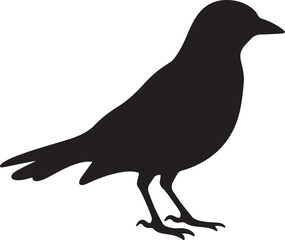 Obraz premium Soaring Bird Silhouette Collection for Print and Cut Files