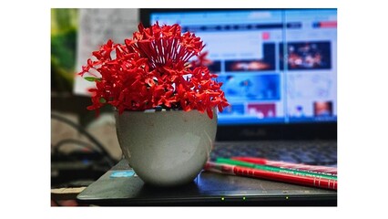 Red Ixora flower in vase and laptop on table.