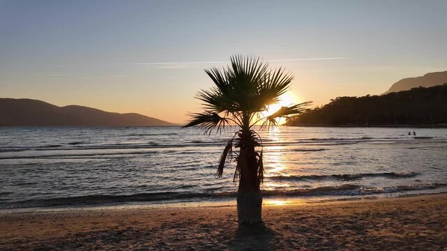 Palm tree silhouette on sandy beach during golden sunset with mountains and calm sea waves at Akyaka, Mugla, Turkey, a tropical paradise scene. Akyaka is a touristic destination during summer