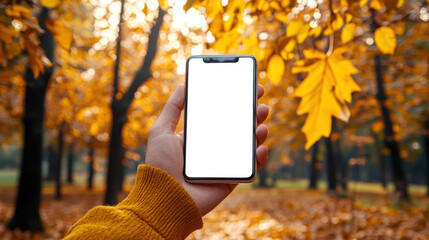 Colorful autumn season. An autumn-style phone mockup. A white guy walks in the autumn forest and takes a photo on his phone. Mobile app advertising. Discounts, promotions and sales in September