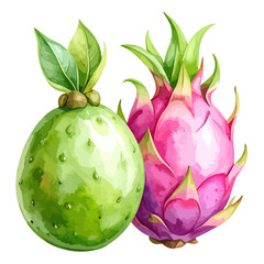 Naklejka premium Vibrant Watercolor Illustration of a Green Cactus Fruit and a Pink Dragon Fruit with Leafy Scales