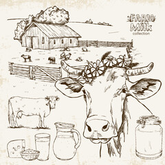 Hand-drawn set in vintage style with cow, milk and farm on a light background with texture.