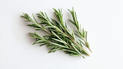 Fototapeta premium Fresh rosemary sprigs arranged on a white surface.