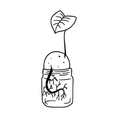 sprouting seed in jar vector illustration