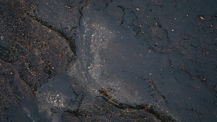 Top view of dark black and brown stone slabs. Different patterns create beauty. Wet surface. For...