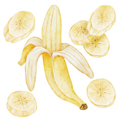 Watercolor illustration of a peeled banana surrounded by slices. A fresh and artistic composition ideal for kitchen prints, fruit packaging, tropical recipes, and healthy food designs