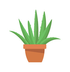 A vibrant vector illustration of an aloe vera plant in a simple terracotta pot on an isolated background. The succulent's distinctive green, fleshy leaves with subtle spines are depicted in a clean, f