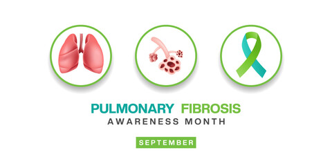September is Pulmonary Fibrosis Awareness Month. Lung, pulmonary fibrosis and ribbon. Great for posters, banners and social media. White background. 