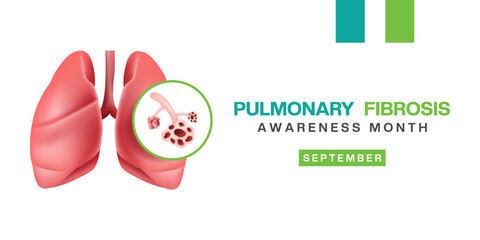 September is Pulmonary Fibrosis Awareness Month. Lung and pulmonary fibrosis. Great for posters, banners and social media. White background.