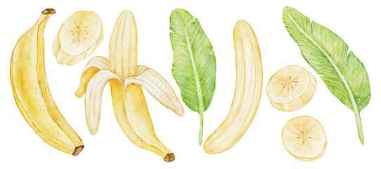 Complete watercolor set of banana-themed elements: whole bananas, peeled banana, slices, and banana leaves. Hand-painted and arranged for use in branding, packaging, tropical designs, or  healthy food