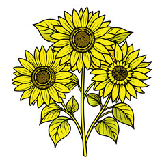 Fototapeta premium sunflower vector illustration