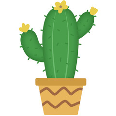 Cactus 