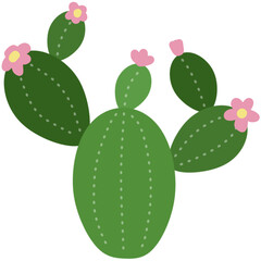 Cactus 