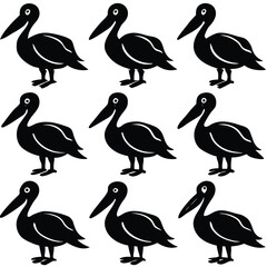 Obraz premium Black and White Pelican Bird Set