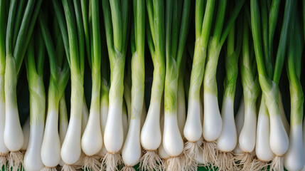 Close-up view of fresh green onions.