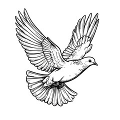 Obraz premium Detailed black and white line art illustration of a flying dove with wings spread wide.