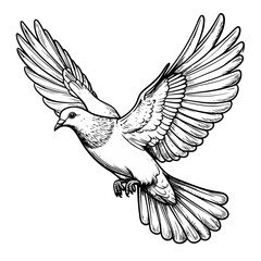 Obraz premium Detailed black and white illustration of a dove in flight with outstretched wings.