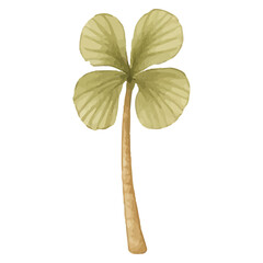 Tropical Tall Palm Tree Illustration for Wall Art and Decor Projects