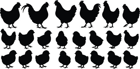 Chicken and chick silhouette vector set, hen and rooster clipart, poultry farm animal icons, black chicken shapes collection © CreativeArtist